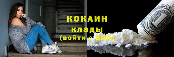 сатива Белокуриха