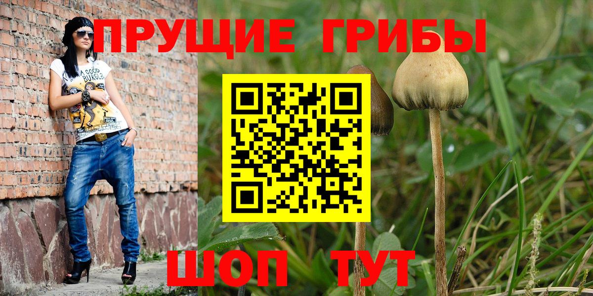 Псилоцибиновые грибы Psilocybine cubensis Воркута