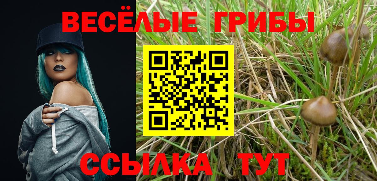 Воркута  Псилоцибиновые грибы ЛСД  дарнет шоп  Вход с VPN  Галлюциногенные грибы Magic Shrooms 