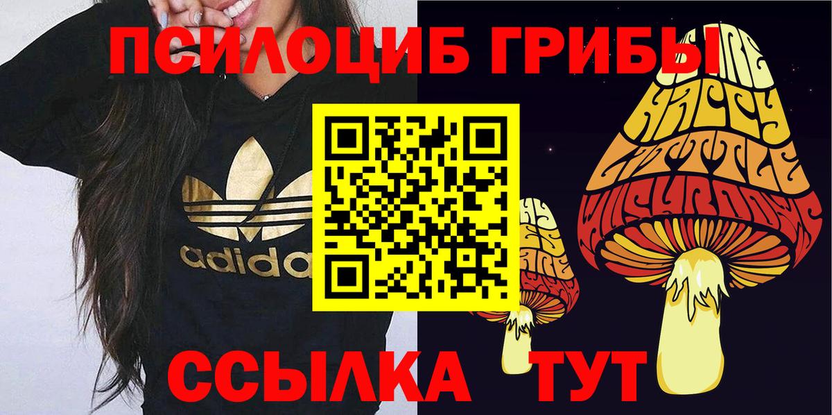Псилоцибиновые грибы Psilocybe Воркута