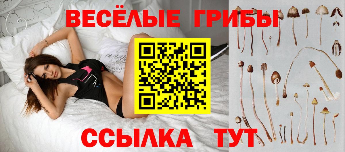 Галлюциногенные грибы ЛСД  продажа наркотиков  Псилоцибиновые грибы прущие грибы  Воркута 